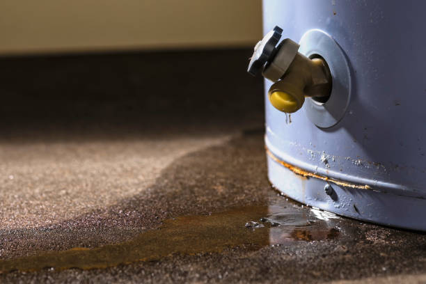  Burlington, KY Water damage restoration Pros
