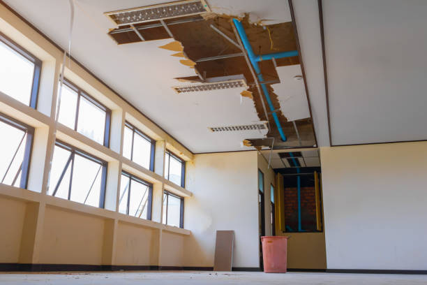Best Flood restoration services  in Burlington, KY