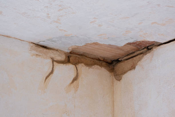 Water damage restoration experts in Burlington, KY