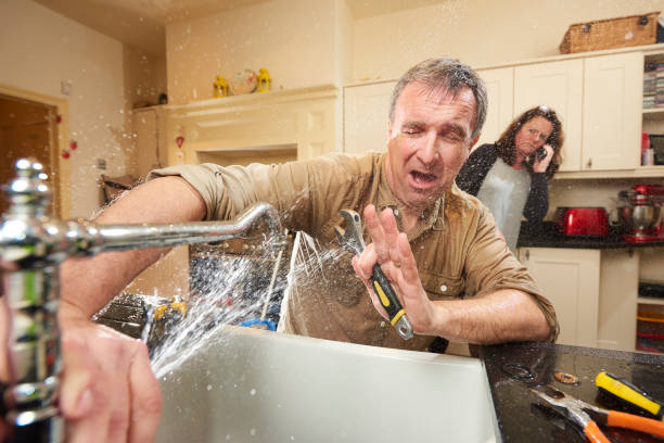 Best Flood damage cleanup  in Burlington, KY